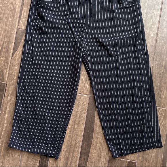 Eileen Fisher Pinstriped Pull On Wide Leg Crop Pants in Navy Blue Sz XL - Picture 3 of 8